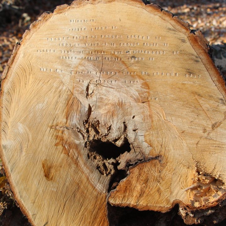 On the flat surface of a large sawed open log, the text of a poem is stamped with letters.
