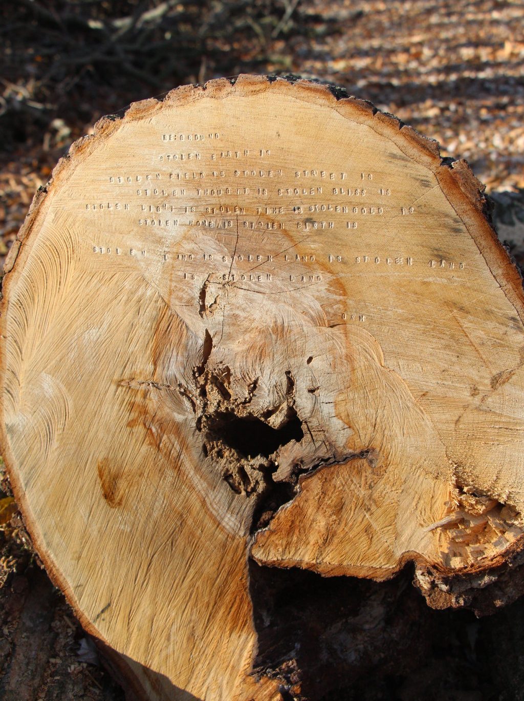 On the flat surface of a large sawed open log, the text of a poem is stamped with letters.