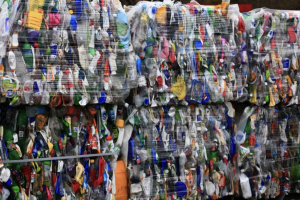 Thumbnail of recycled bottles and cans
